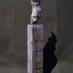 Torso-mit-Kopf-Treibholz-1.50m-2020